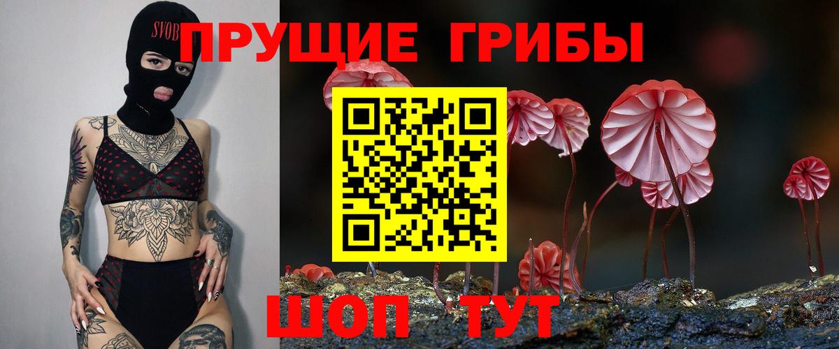 Галлюциногенные грибы мухоморы Бор